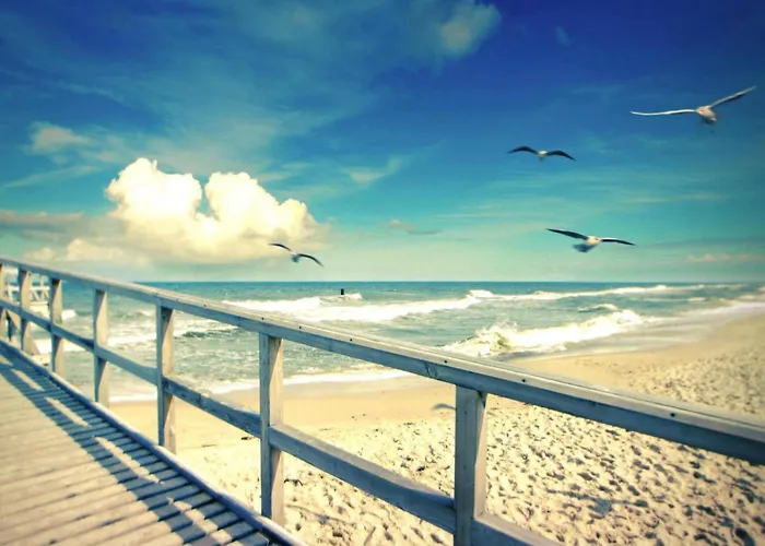 Spacious With Private Garden *